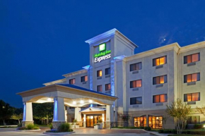 Гостиница Holiday Inn Express Hotel and Suites Fort Worth/I-20  Форт-Уэрт